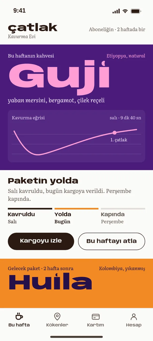 Çatlak örnek uygulamasının ana ekranı