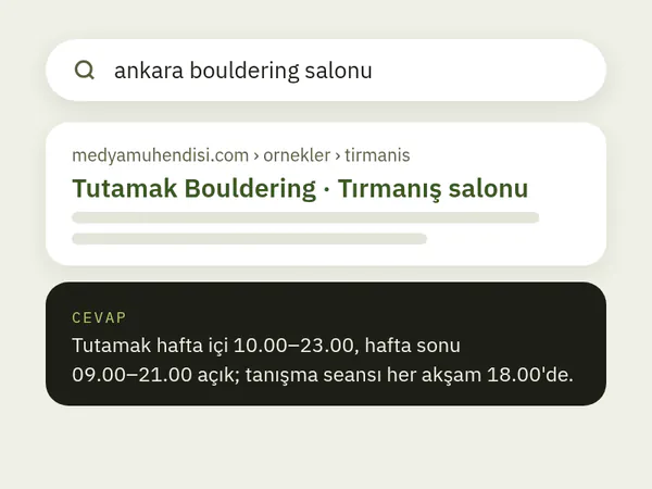 Arama sonucunda ve kısa cevapta görünen örnek site