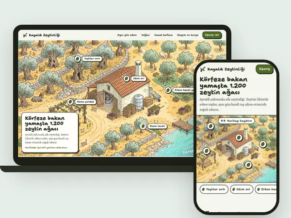 Aynı örnek site bilgisayarda ve telefonda