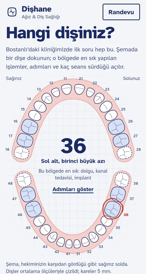 Diş kliniği örnek sitesi