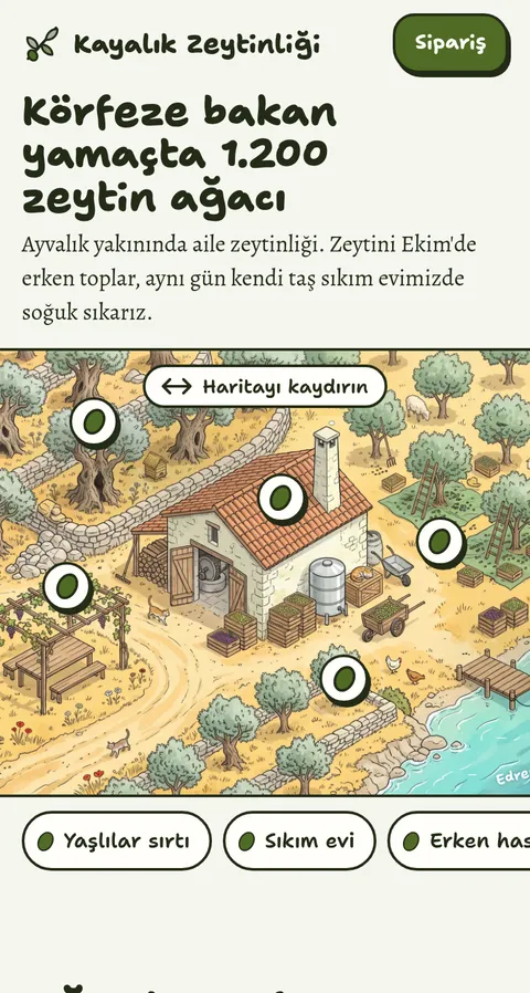 Zeytinyağı üreticisi örnek sitesi