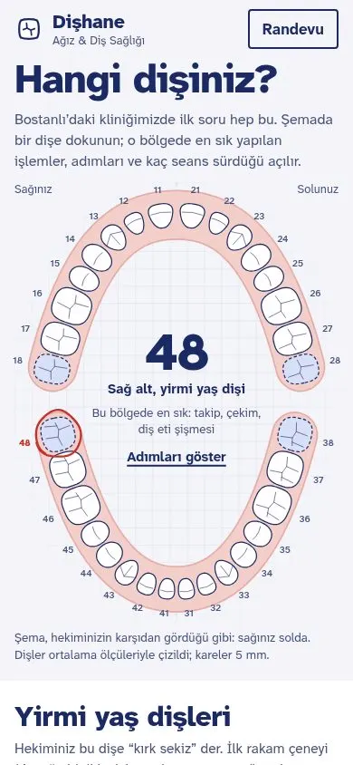Dişhane Ağız & Diş Sağlığı örnek sitesinin telefon görünümü